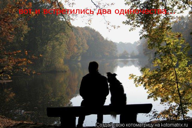 вот и встретились два одиночества...... Котоматрица: вот и встретились два одиночества...