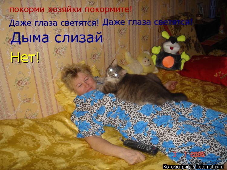 покорми хозяйки покормите! Даже глаза светятся! Даже глаза светятся! Дыма слизай Нет!... Котоматрица: покорми хозяйки покормите! Даже глаза светятся! Даже глаза светятся! Дыма слизай Нет!