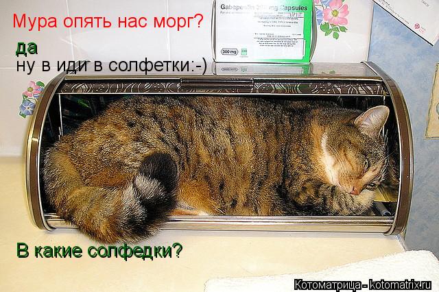 Мура опять нас морг? да ну в иди в солфетки:-) В какие солфедки?... Котоматрица: Мура опять нас морг? да ну в иди в солфетки:-) В какие солфедки?