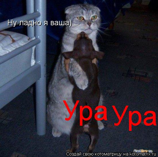 Котоматрица: Ну ладно я ваша)  Ура Ура