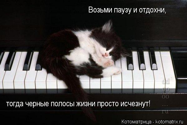 тогда черные полосы жизни просто исчезнут! Возьми паузу и отдохни,... Котоматрица: тогда черные полосы жизни просто исчезнут! Возьми паузу и отдохни,