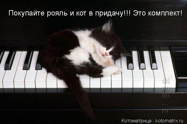 Покупайте рояль и кот в придачу!!! Это комплект!... Котоматрица: Покупайте рояль и кот в придачу!!! Это комплект!