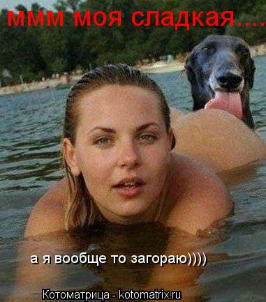 ммм моя сладкая.... а я вообще то загораю))))... Котоматрица: ммм моя сладкая.... а я вообще то загораю))))