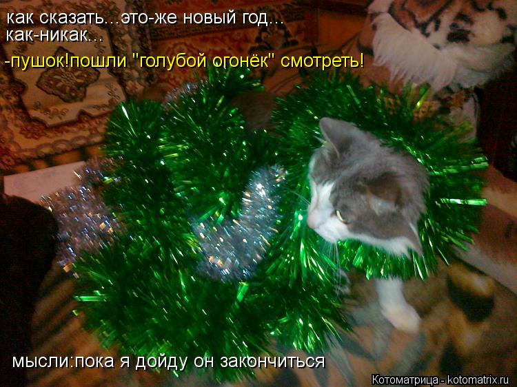 Котоматрица: как сказать...это-же новый год... как-никак... -пушок!пошли "голубой огонёк" смотреть! мысли:пока я дойду он закончиться