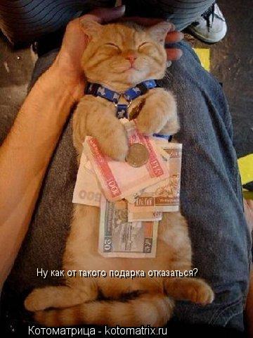 Котоматрица: Ну как от такого подарка отказаться?