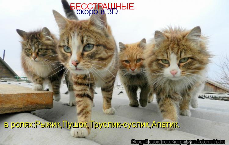 Котоматрица: БЕССТРАШНЫЕ. скоро в 3D в ролях:Рыжик,Пушок,Труслик-суслик,Апатик.