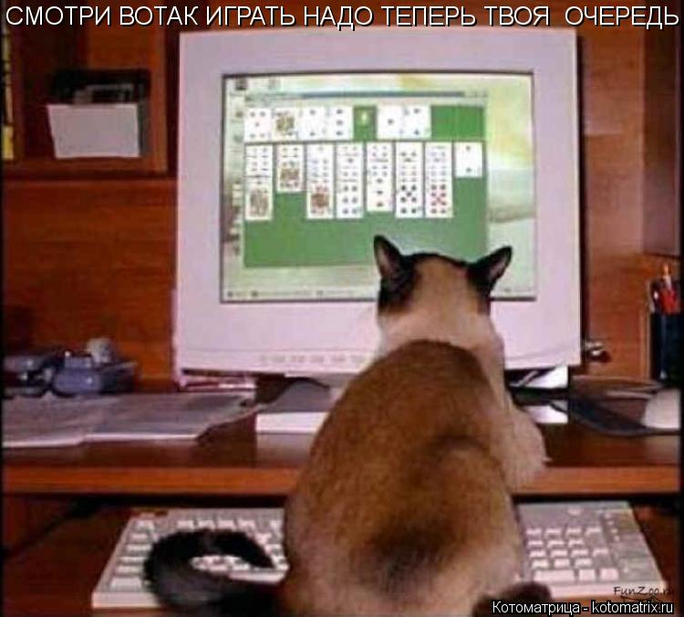 Котоматрица: СМОТРИ ВОТАК ИГРАТЬ НАДО ТЕПЕРЬ ТВОЯ  ОЧЕРЕДЬ