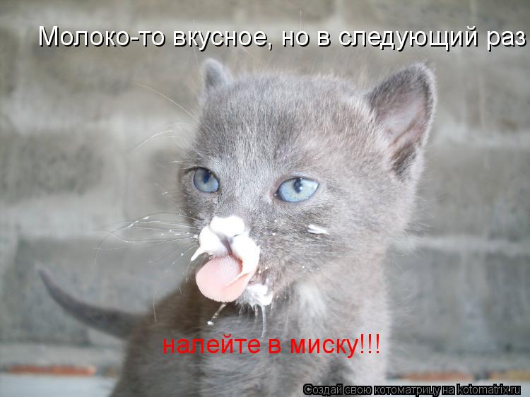 Котоматрица: Молоко-то вкусное, но в следующий раз налейте в миску!!! налейте в миску!!!
