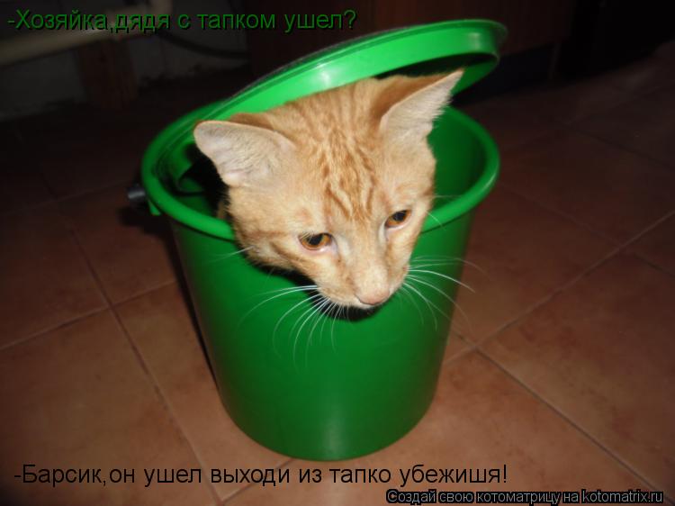 Котоматрица: -Хозяйка,дядя с тапком ушел? -Барсик,он ушел выходи из тапко убежишя!