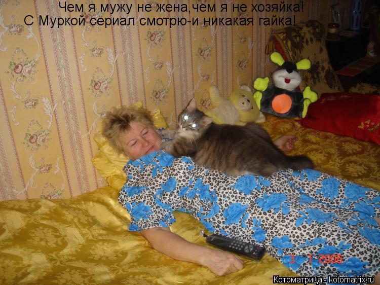 Котоматрица: Чем я мужу не жена,чем я не хозяйка!  С Муркой сериал смотрю-и никакая гайка!