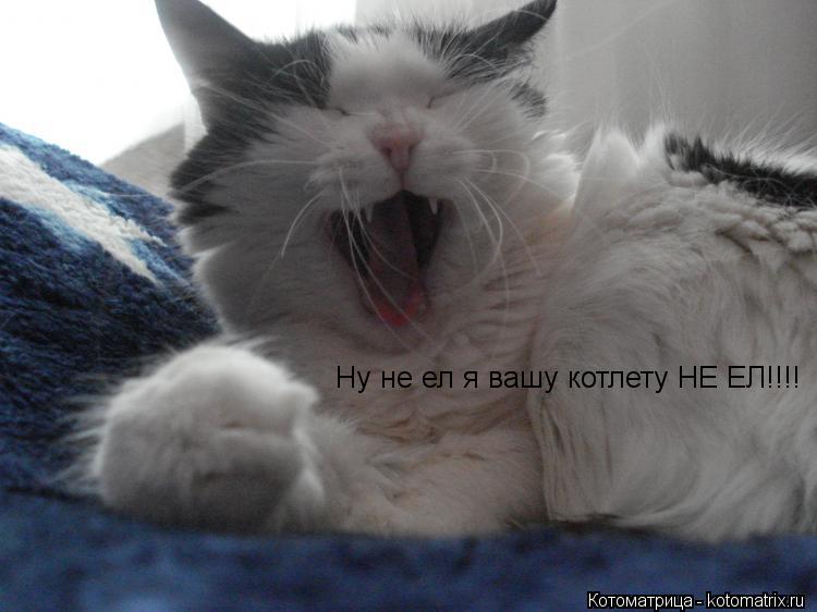 Котоматрица: Ну не ел я вашу котлету НЕ ЕЛ!!!!