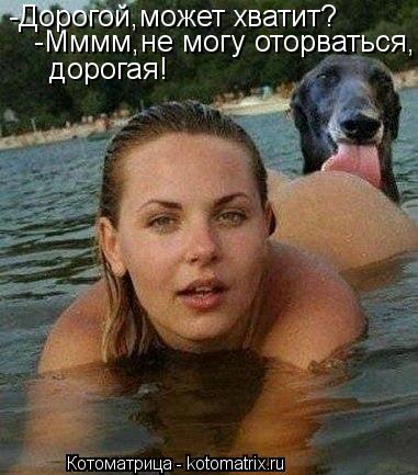 Котоматрица: -Дорогой,может хватит? -Мммм,не могу оторваться,  дорогая!