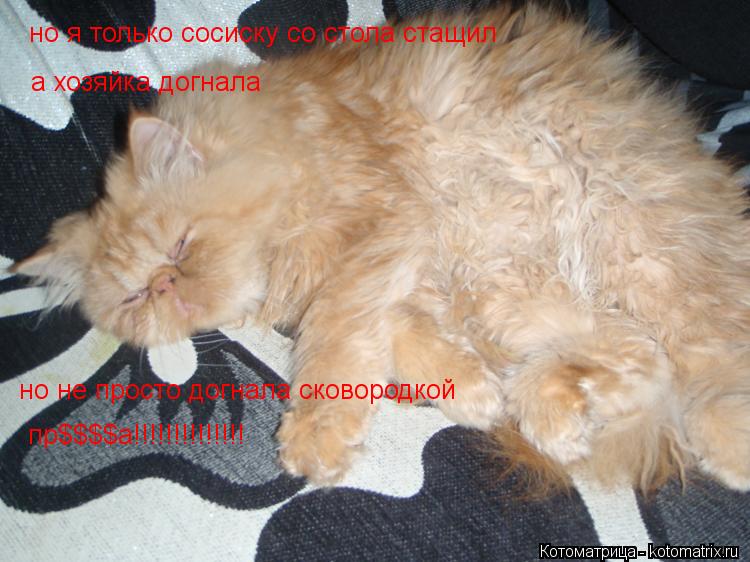 Котоматрица: но я только сосиску со стола стащил а хозяйка догнала  но не просто догнала сковородкой пр$$$$а!!!!!!!!!!!!!!