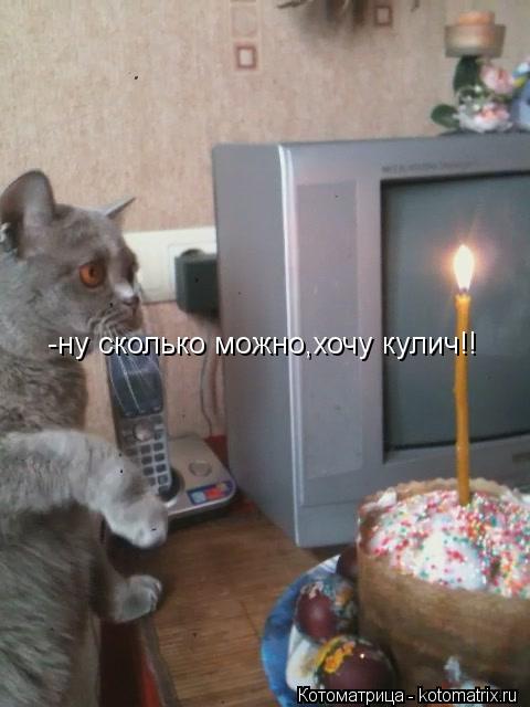 Котоматрица: -ну сколько можно,хочу кулич!!