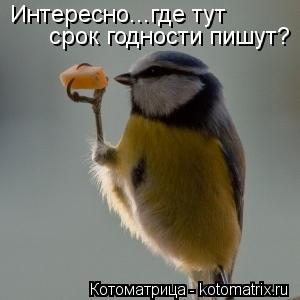Котоматрица: Интересно...где тут срок годности пишут?