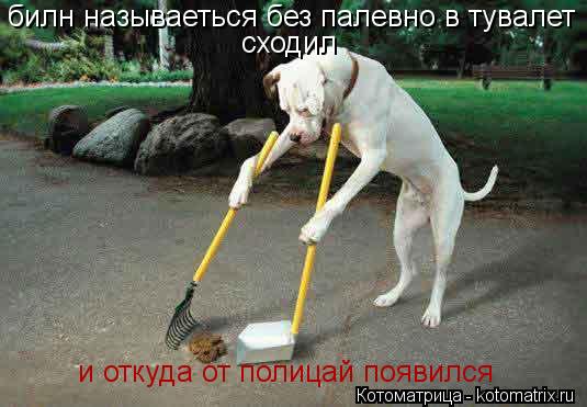 Котоматрица: билн называеться без палевно в тувалет  сходил и откуда от полицай появился