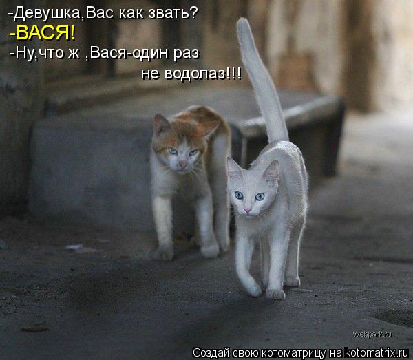 Котоматрица: -Девушка,Вас как звать? -ВАСЯ! -Ну,что ж ,Вася-один раз не водолаз!!!