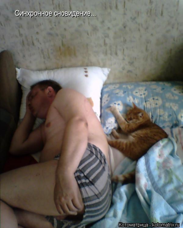 Котоматрица: Синхронное сновидение...