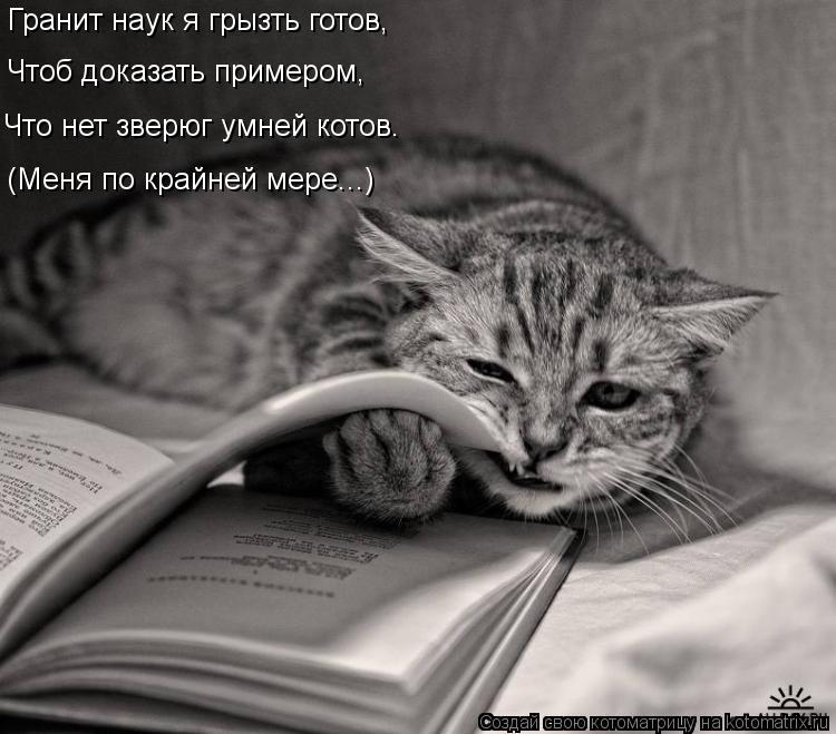 Гранит наук я грызть готов, Что нет зверюг умней котов. Чтоб доказать примером, (Меня по крайней мере... Котоматрица: Гранит наук я грызть готов, Что нет зверюг умней котов. Чтоб доказать примером, (Меня по крайней мере...)