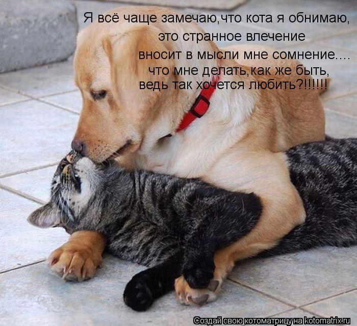 вносит в мысли мне сомнение.... это странное влечение Я всё чаще замечаю,что кота я обнимаю, что мне ... Котоматрица: вносит в мысли мне сомнение.... это странное влечение Я всё чаще замечаю,что кота я обнимаю, что мне делать,как же быть, ведь так хочется люби