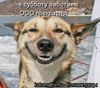 -в субботу работаем ООО прекрасно!... Котоматрица: -в субботу работаем ООО прекрасно!