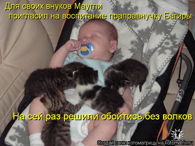 Для своих внуков Маугли пригласил на воспитание праправнучку Багиры На сей раз решили обойтись без во... Котоматрица: Для своих внуков Маугли пригласил на воспитание праправнучку Багиры На сей раз решили обойтись без волков
