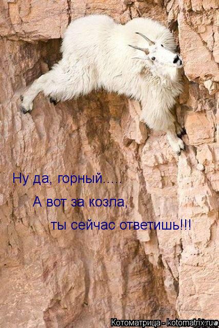 Ну да, горный..... А вот за козла, ты сейчас ответишь!!!... Котоматрица: Ну да, горный..... А вот за козла, ты сейчас ответишь!!!