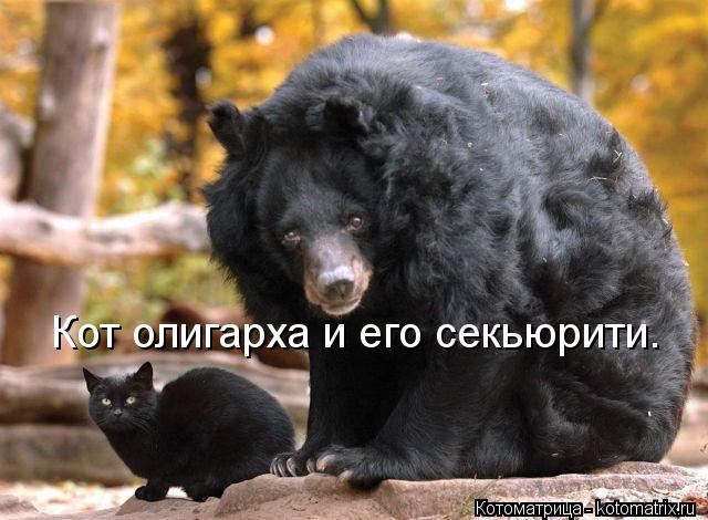 Кот олигарха и его секьюрити.... Котоматрица: Кот олигарха и его секьюрити.