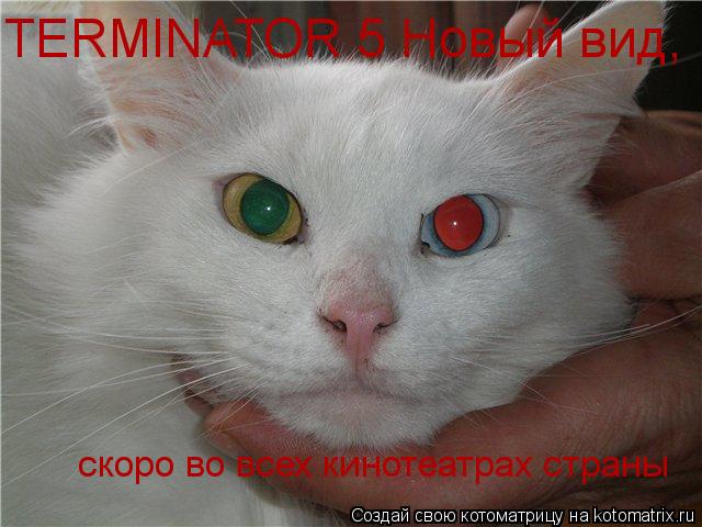 Котоматрица: TERMINATOR 5 Нвый вид, TERMINATOR 5 Новый вид, скоро во всех кинотеатрах страны