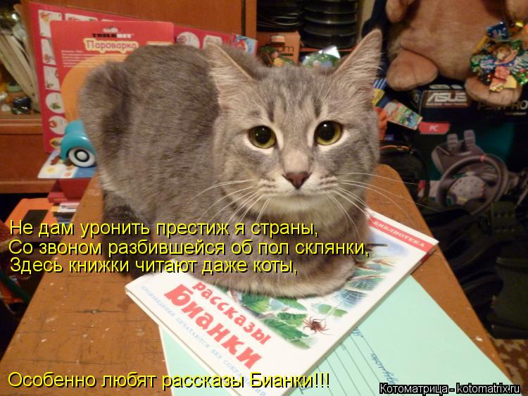 Котоматрица: Не дам уронить престиж я страны, Со звоном разбившейся об пол склянки, Здесь книжки читают даже коты, Особенно любят рассказы Бианки!!!