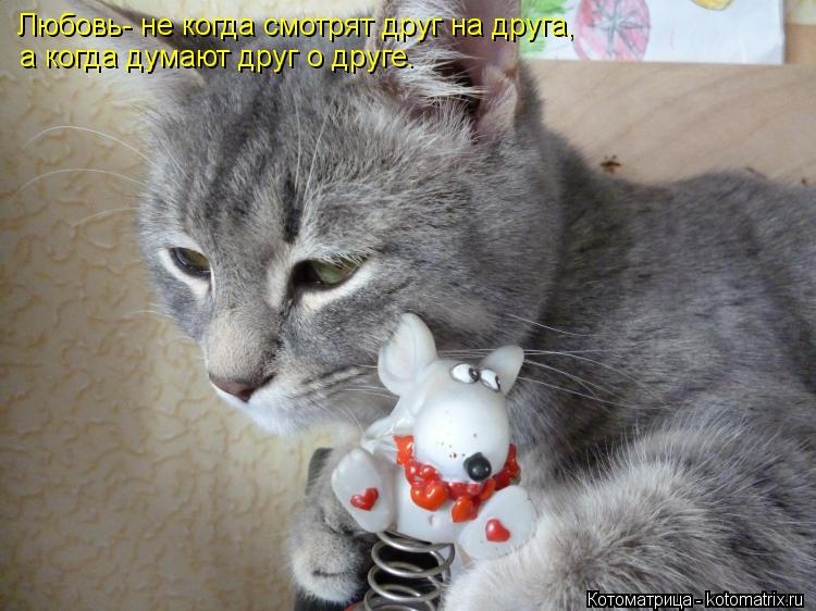 Котоматрица: Любовь- не когда смотрят друг на друга, а когда думают друг о друге.