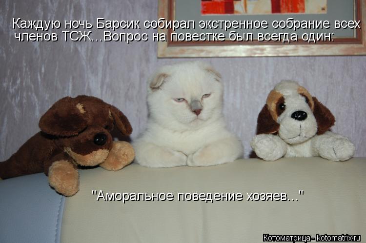 Каждую ночь Барсик собирал экстренное собрание всех членов ТСЖ...Вопрос на повестке был всегда один: ... Котоматрица: Каждую ночь Барсик собирал экстренное собрание всех членов ТСЖ...Вопрос на повестке был всегда один: "Аморальное поведение хозяев..."