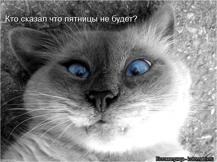 Котоматрица: Кто сказал что пятницы не будет?