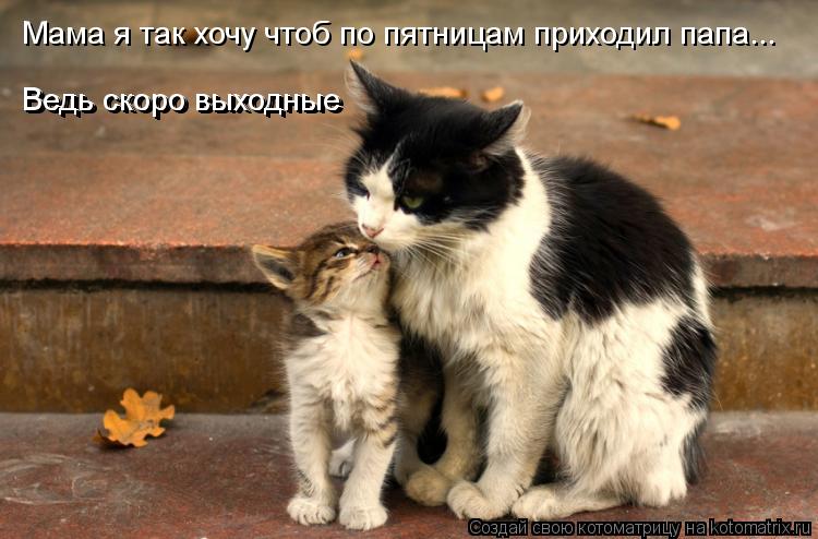 Котоматрица: Мама я так хочу чтоб по пятницам приходил папа... Ведь скоро выходные Ведь скоро выходные
