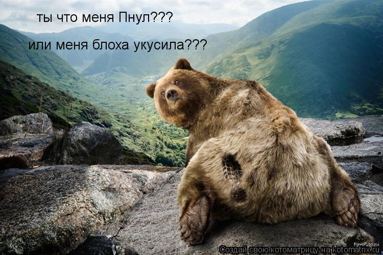 Котоматрица: ты что меня Пнул??? или меня блоха укусила???