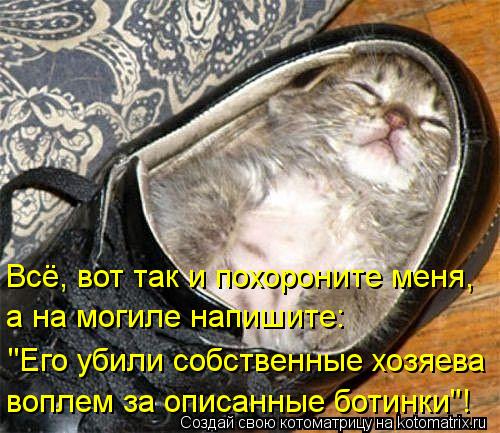 Котоматрица: Всё, вот так и похороните меня, а на могиле напишите: "Его убили собственные хозяева воплем за описанные ботинки"!