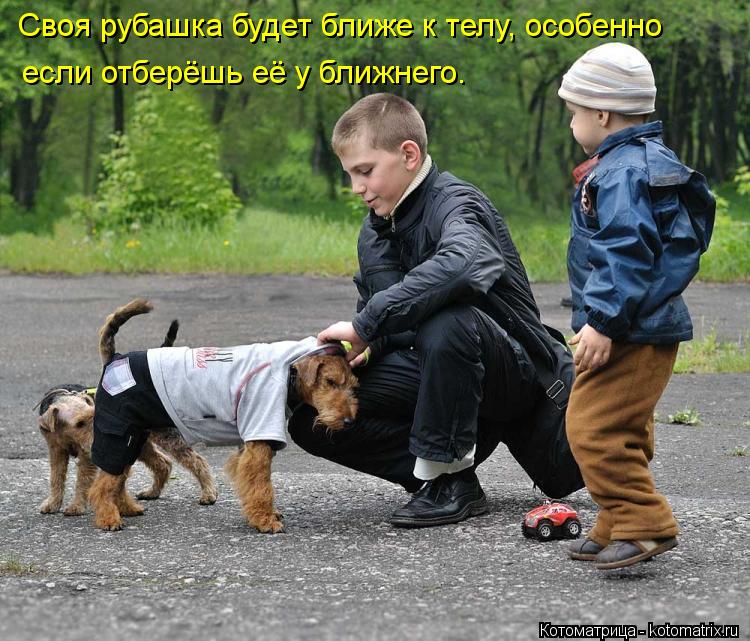 Котоматрица: если отберёшь её у ближнего. Своя рубашка будет ближе к телу, особенно