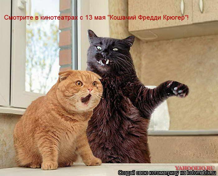 Котоматрица: Смотрите в кинотеатрах с 13 мая "Кошачий Фредди Крюгер"!