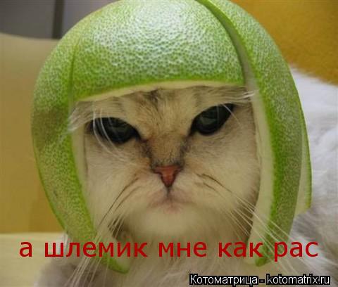 а шлемик мне как рас... Котоматрица: а шлемик мне как рас