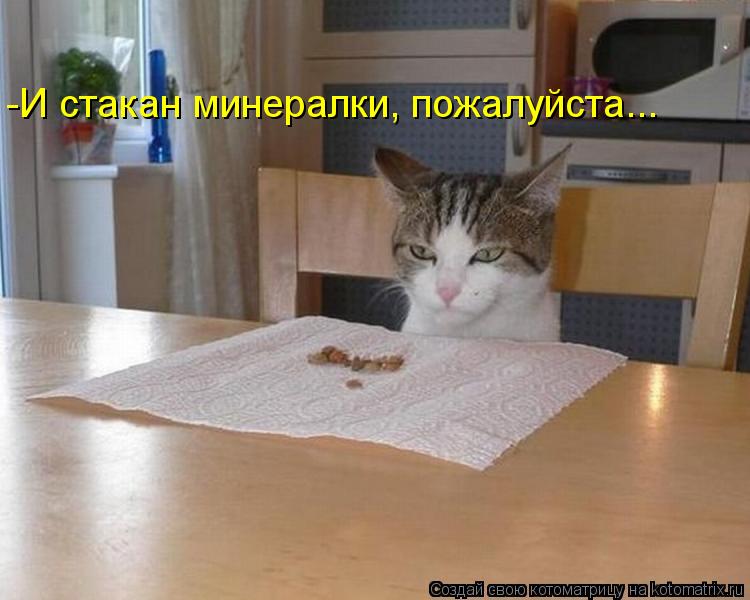-И стакан минералки, пожалуйста...... Котоматрица: -И стакан минералки, пожалуйста...