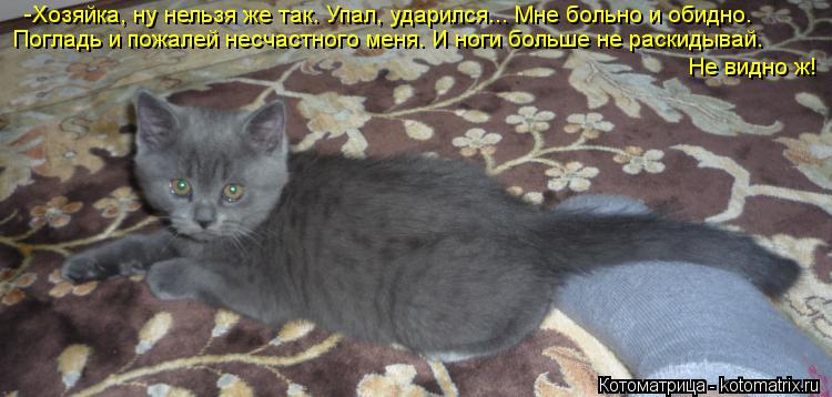 Котоматрица: -Хозяйка, ну нельзя же так. Упал, ударился... Мне больно и обидно. Погладь и пожалей несчастного меня. И ноги больше не раскидывай. Не видно ж!