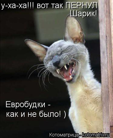 Котоматрица: у-ха-ха!!! вот так ПЕРНУЛ Шарик! Евробудки -  как и не было! )