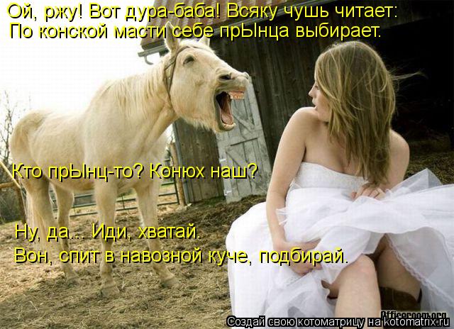 Ой, ржу! Вот дура-баба! Всяку чушь читает: По конской масти себе прЫнца выбирает. Кто прЫнц-то? Конюх... Котоматрица: Ой, ржу! Вот дура-баба! Всяку чушь читает: По конской масти себе прЫнца выбирает. Кто прЫнц-то? Конюх наш? Ну, да... Иди, хватай. Вон, спит в навоз
