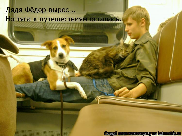 Котоматрица: Дядя Фёдор вырос... Но тяга к путешествиям осталась .