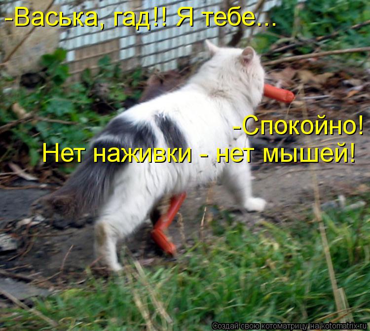 Котоматрица: -Васька, гад!! Я тебе... -Спокойно! Нет наживки - нет мышей!