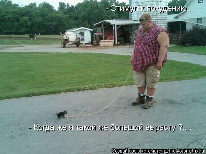 - Стимул к похудению... - Когда же я такой же большой вырасту ?....... Котоматрица: - Стимул к похудению... - Когда же я такой же большой вырасту ?....