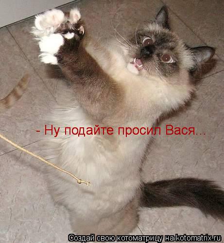 - Ну подайте просил Вася... - Ну подайте просил Вася...... Котоматрица: - Ну подайте просил Вася... - Ну подайте просил Вася...