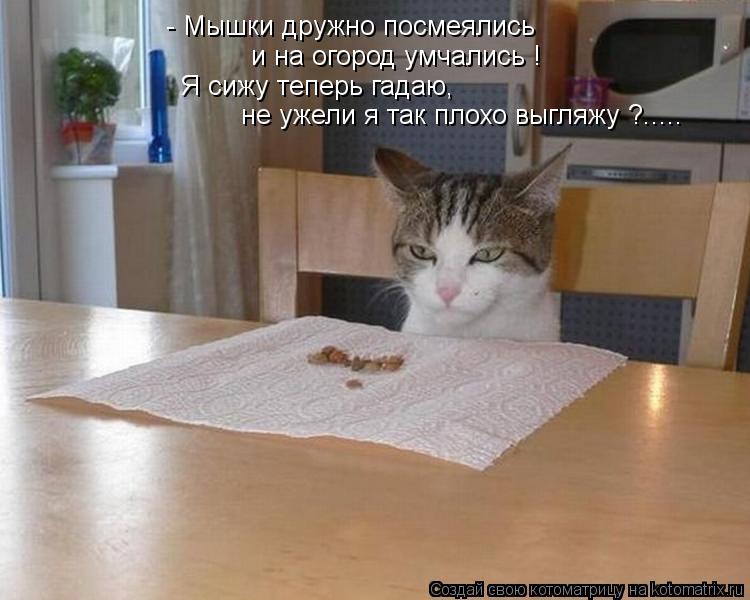 - Мышки дружно посмеялись и на огород умчались ! Я сижу теперь гадаю, не ужели я так плохо выгляжу ?.... Котоматрица: - Мышки дружно посмеялись и на огород умчались ! Я сижу теперь гадаю, не ужели я так плохо выгляжу ?.....