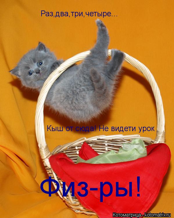 Раз,два,три,четыре... Кыш от сюда! Не видети урок Физ-ры!... Котоматрица: Раз,два,три,четыре... Кыш от сюда! Не видети урок Физ-ры!