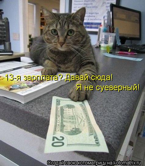 13-я зарплата? Давай сюда! Я не суеверный!... Котоматрица: 13-я зарплата? Давай сюда! Я не суеверный!